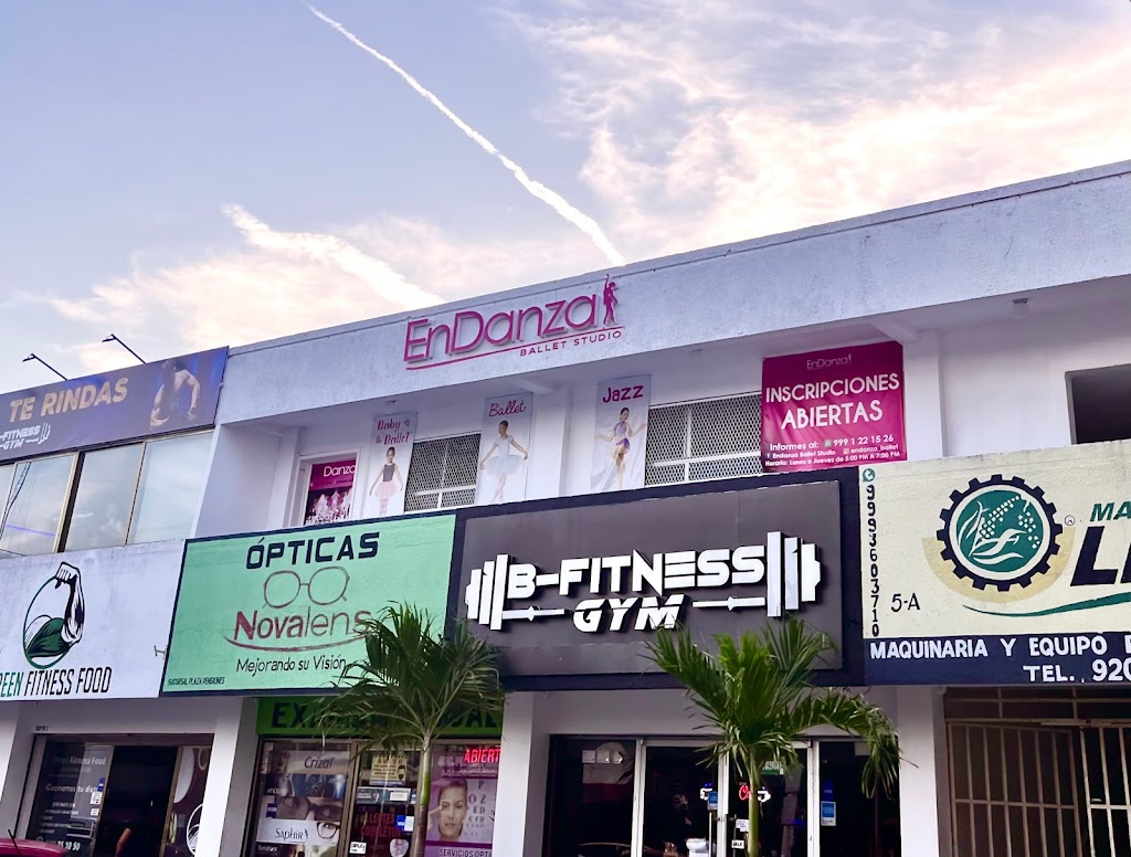 EnDanza Ballet Studio