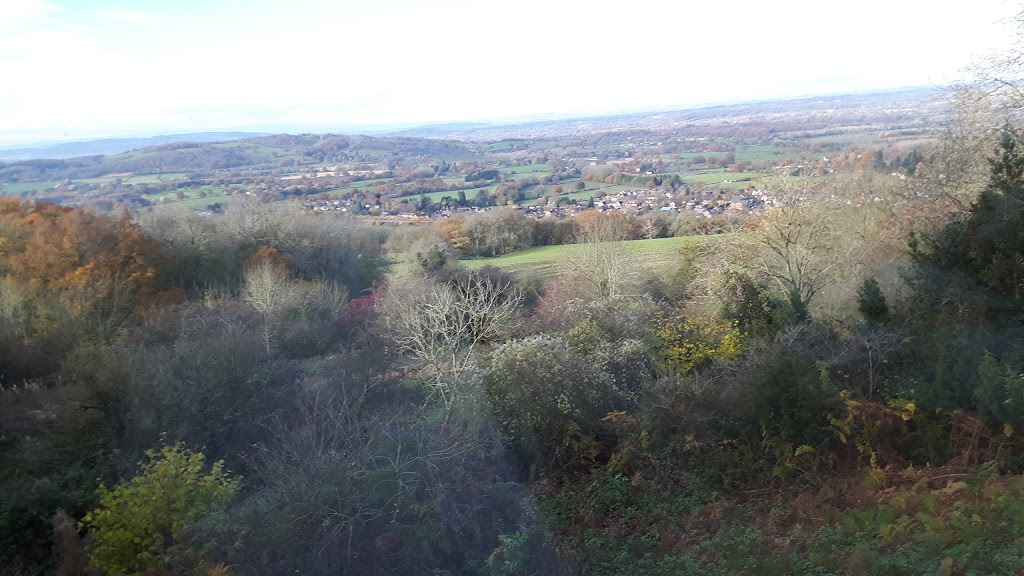 Lower Wyche