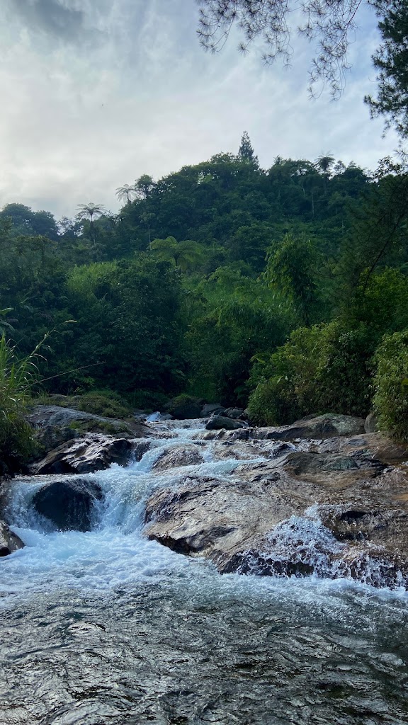 Camping Ground Pinus Siampel