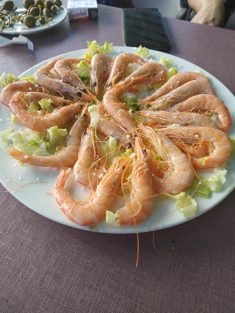 Cerveceria Jarillo — Comida y bebida