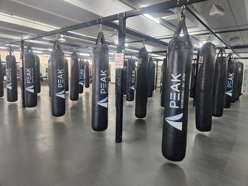  Peak Kickboxing GWV/DTC