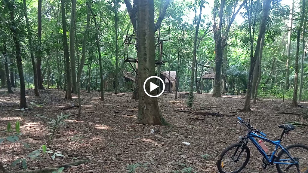 Arboretum Saka Wanabakti Buperta Cibubur