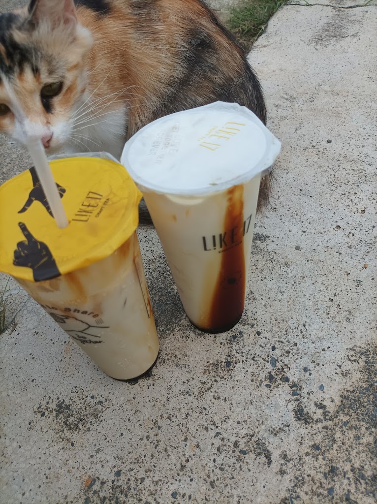 Like 17 in 南投名間 的照片