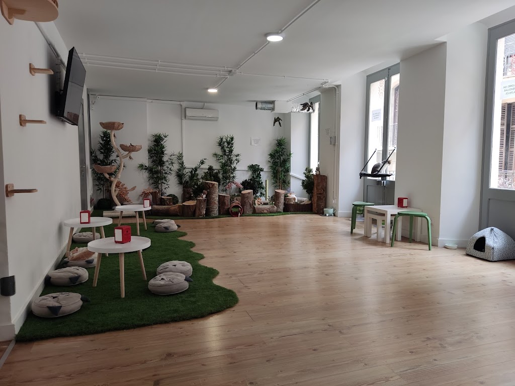 Ninus CatCafe