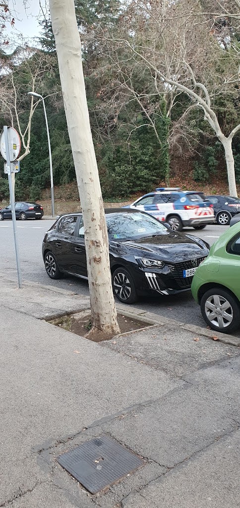 Auto-Barcelona — Mas recientes