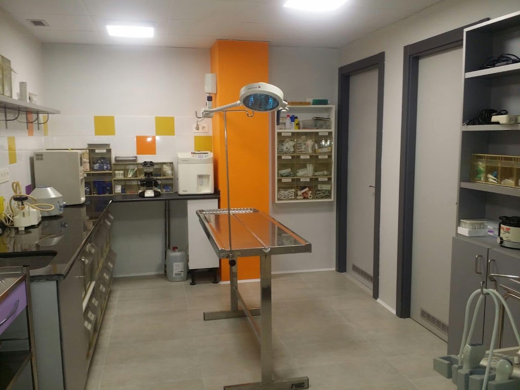 Clinica Veterinaria Iturvet — Del propietario