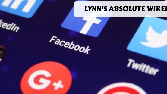 Lynn S Absolute Wireless