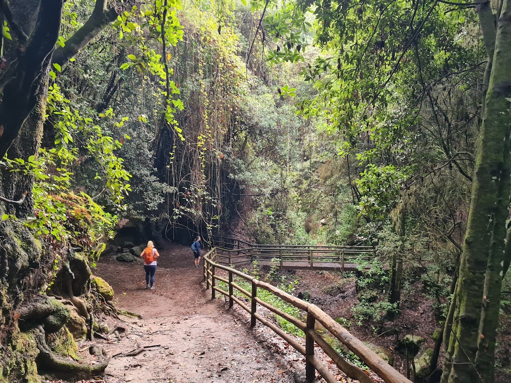 Lomo La Jara Asadero