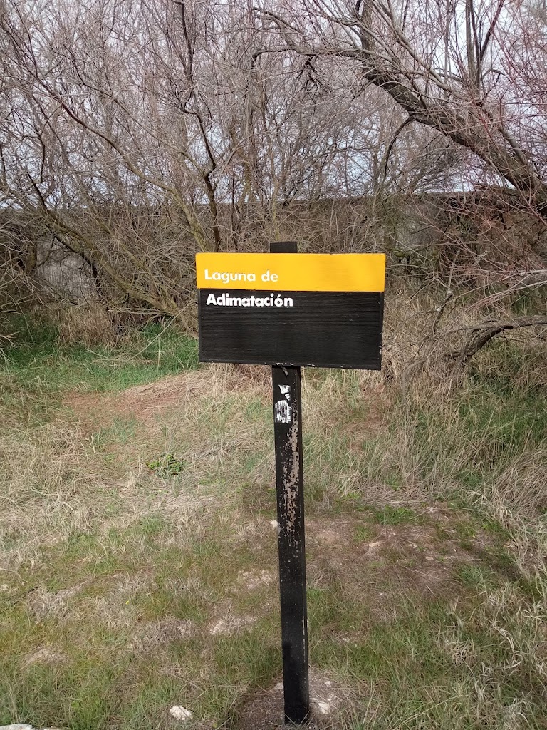 Parking centro visitantes Tablas de Daimiel — Signo