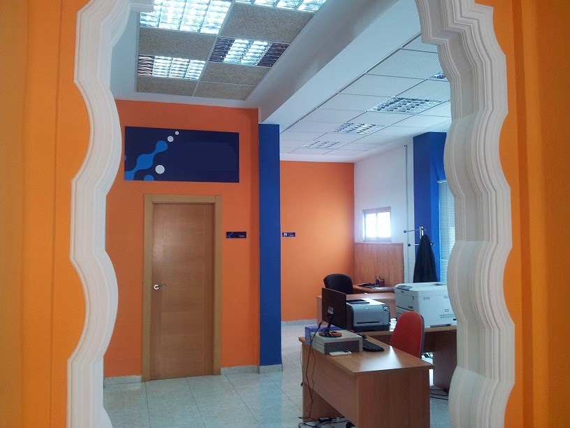 ALG Informatica, Servicios Informaticos