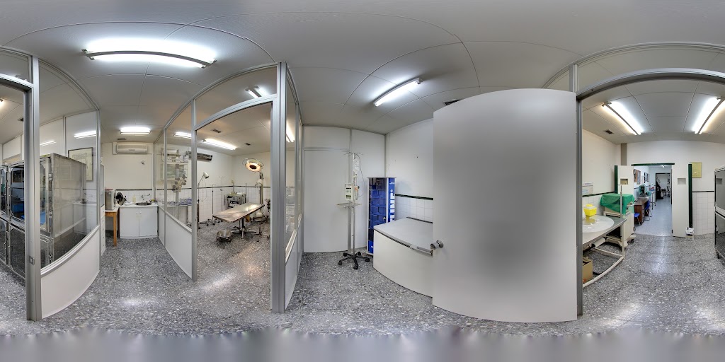 Clinica Veterinaria Badalona — Street View y 360deg