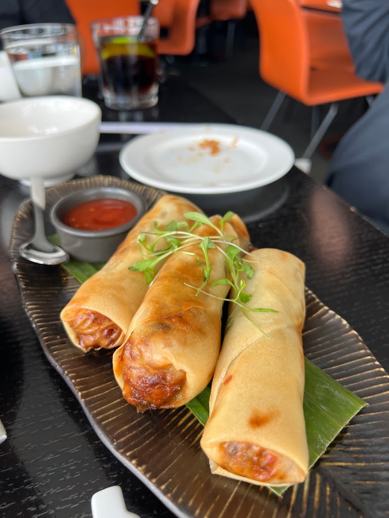 Spring roll