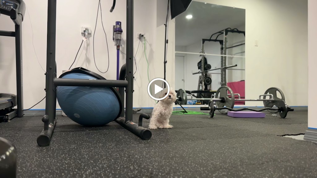  Terri Fitness Workshop