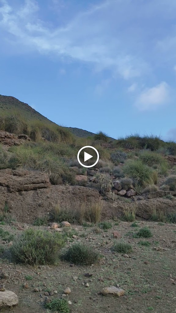 Inicio Sendero Caldera de Majada Redonda — Videos