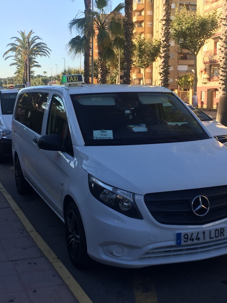 taxis y autobuses ROYJU