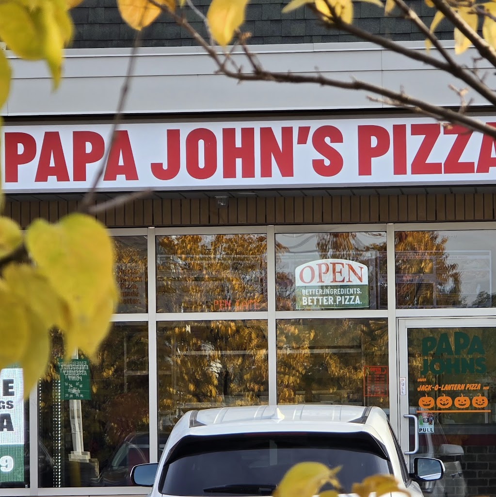Papa Johns Pizza
