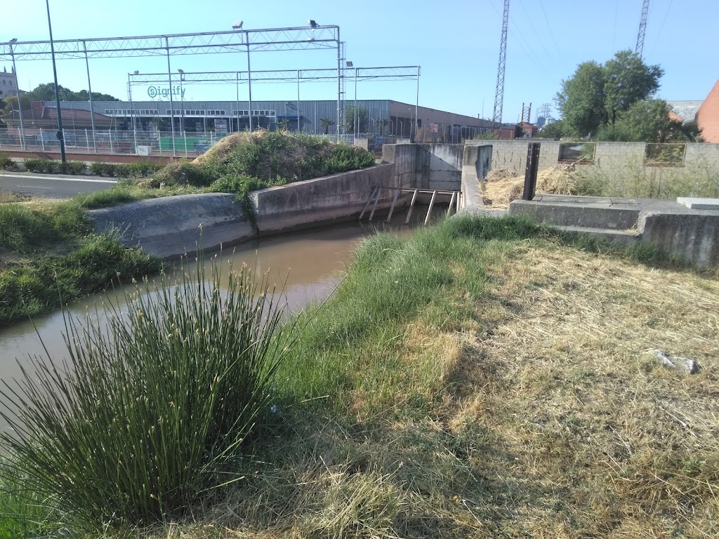 Acequia de Valladolid