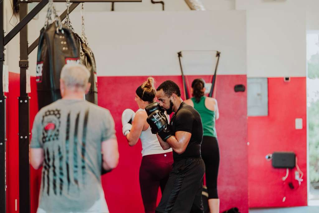  The Sweet Science Boxing Fitness