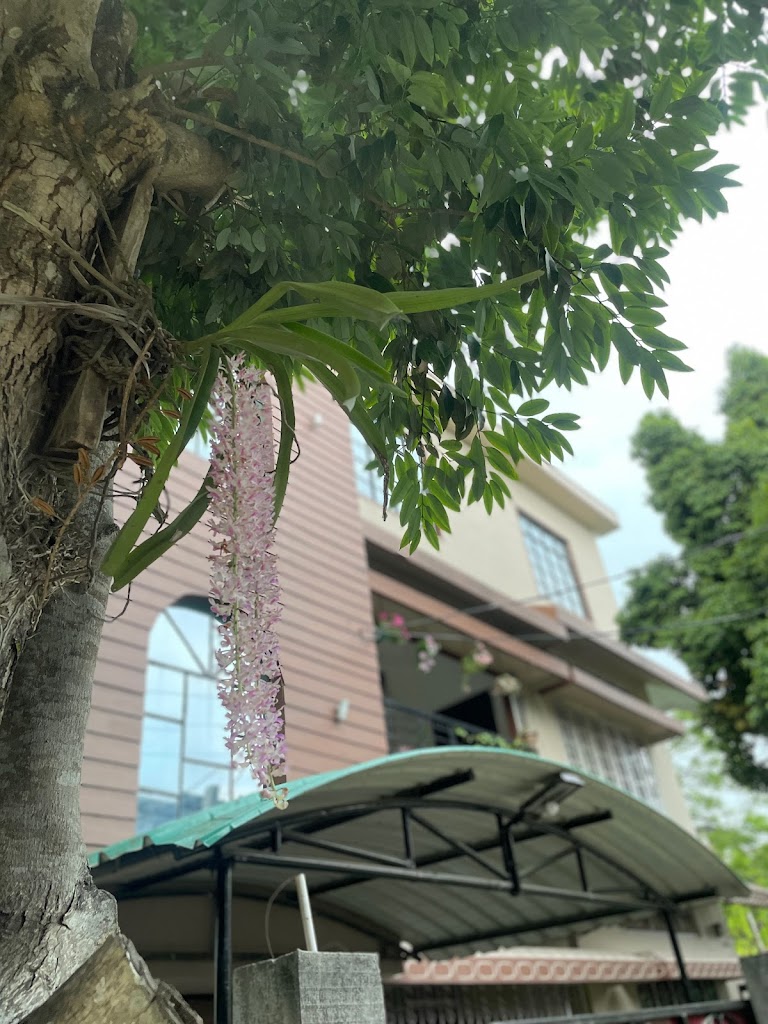 Cozy Cove Private Room And Solarium 1Bhk Suite By Aesthetic Homestay Premium