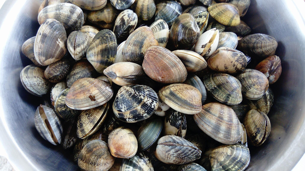 cocinando en el salnes - talleres de cocina