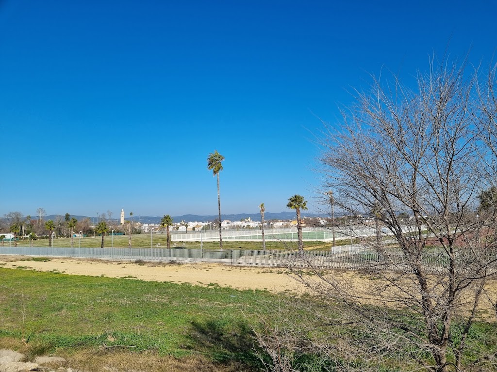 Ciudad Deportiva Lora del Rio