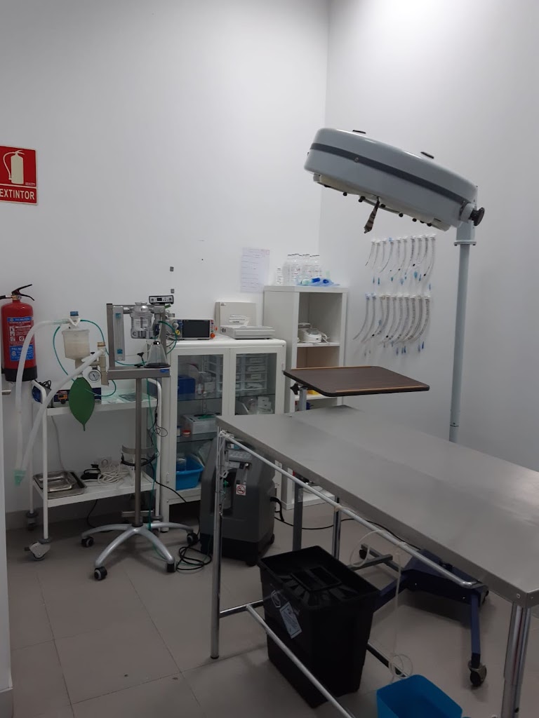 Centro Veterinario Pozuelo Estacion — Del propietario