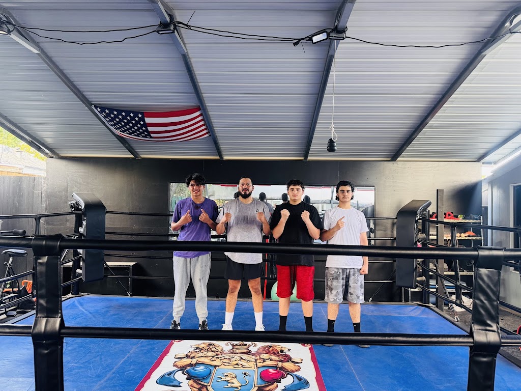  Backyard Battleground Boxing