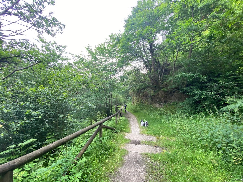 Senda Verde del Valle de Turon