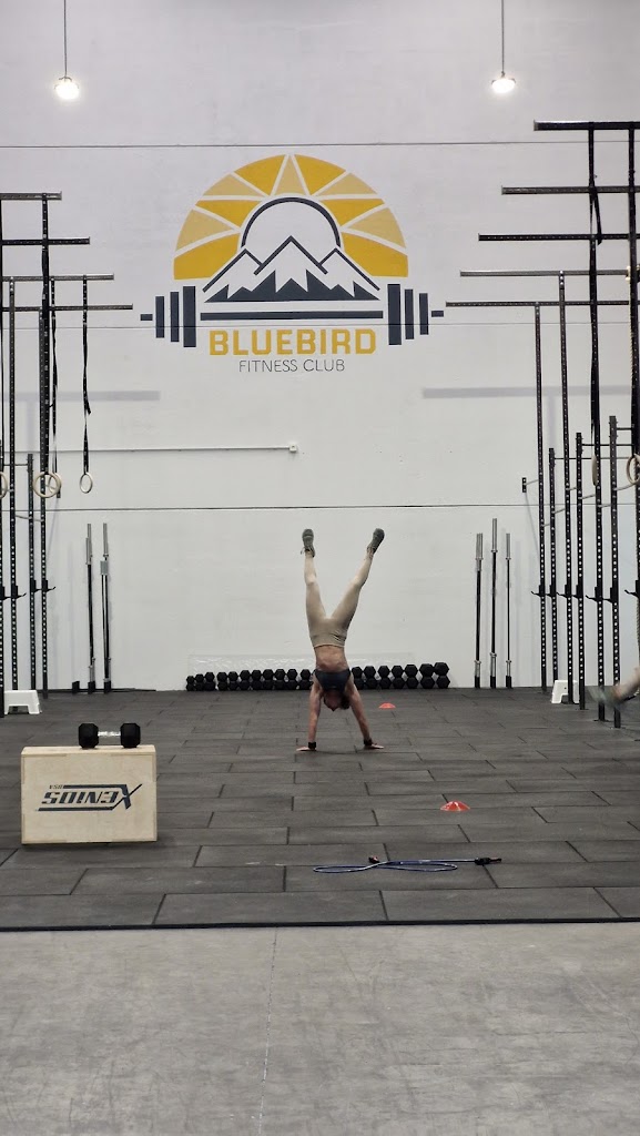 Bluebird Mungia Fitness Club