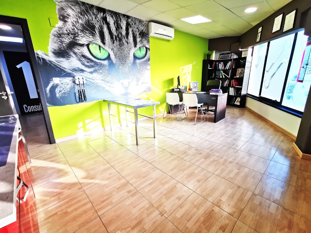 Centro Veterinario Husse — Del propietario