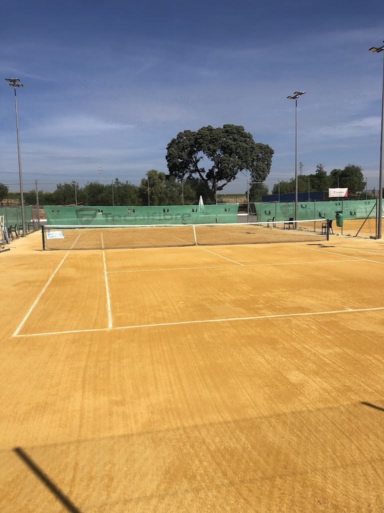 Escuela de tenis. MN Academy — Del propietario