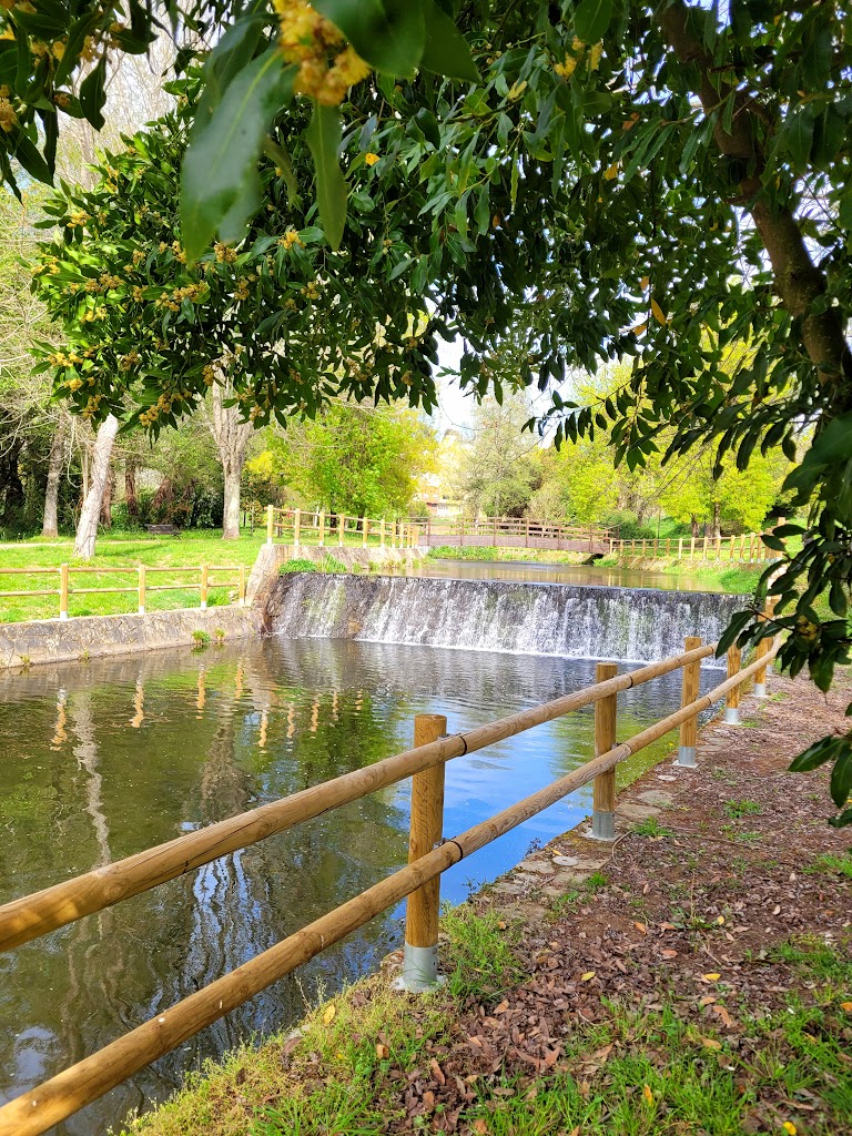 Paseo Fluvial do Rio Pontinas