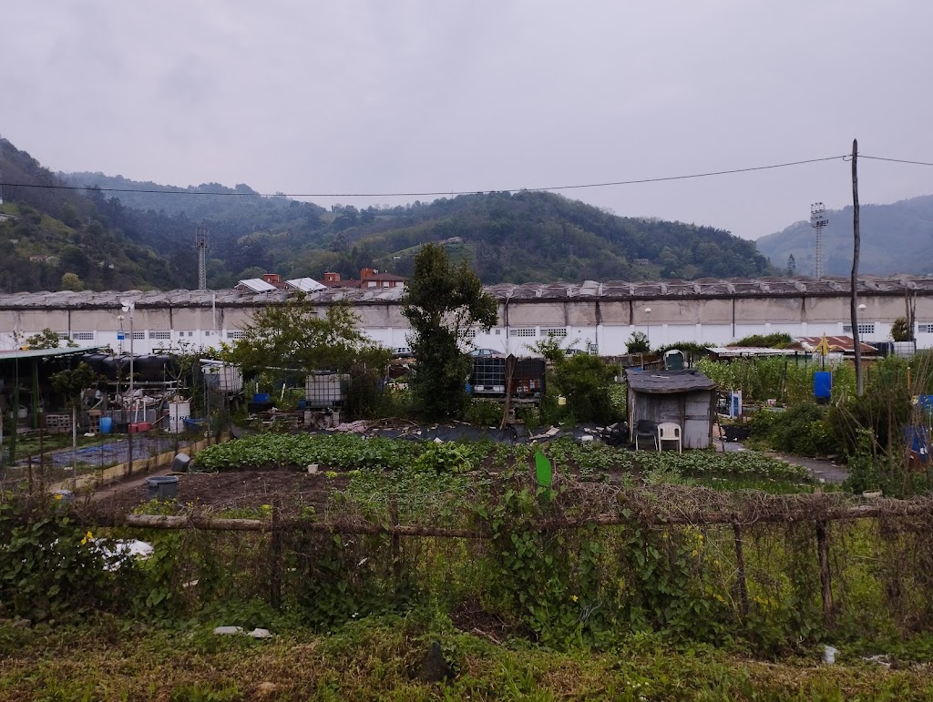 Ruta Fluvial del Rio San Xuan