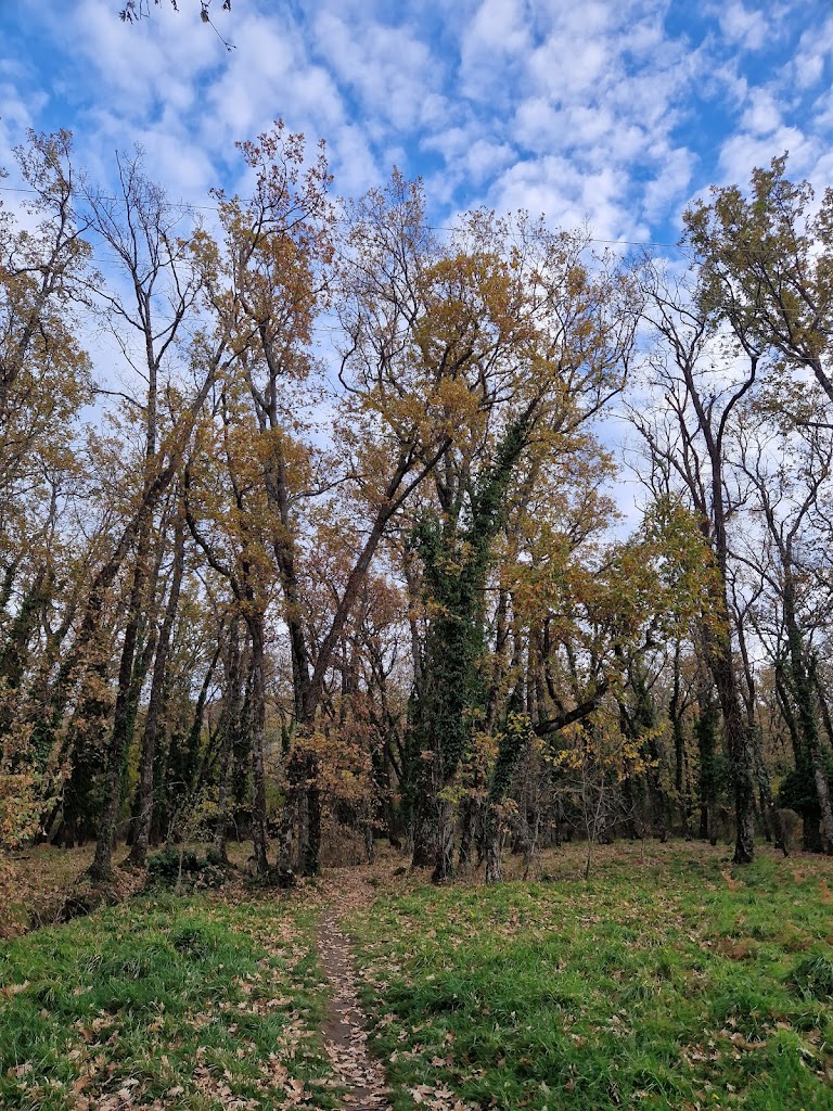 Bosque de la Herreria