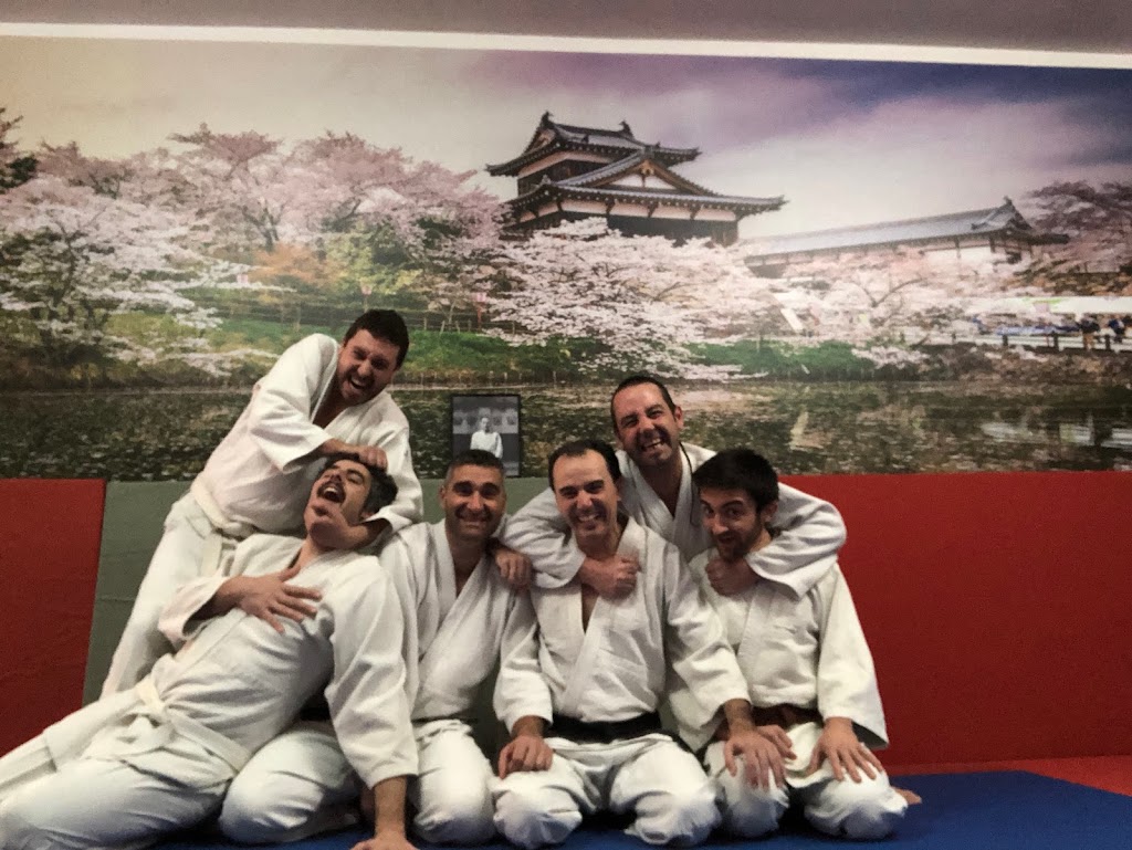 Aikido Figueres — Del propietario