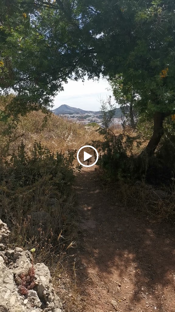Asilo De Los Angeles — Videos