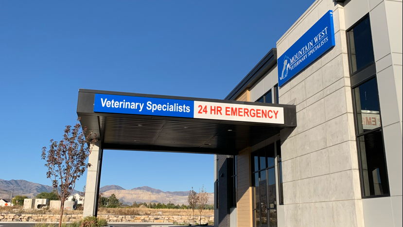 Veterinarian in Bluffdale