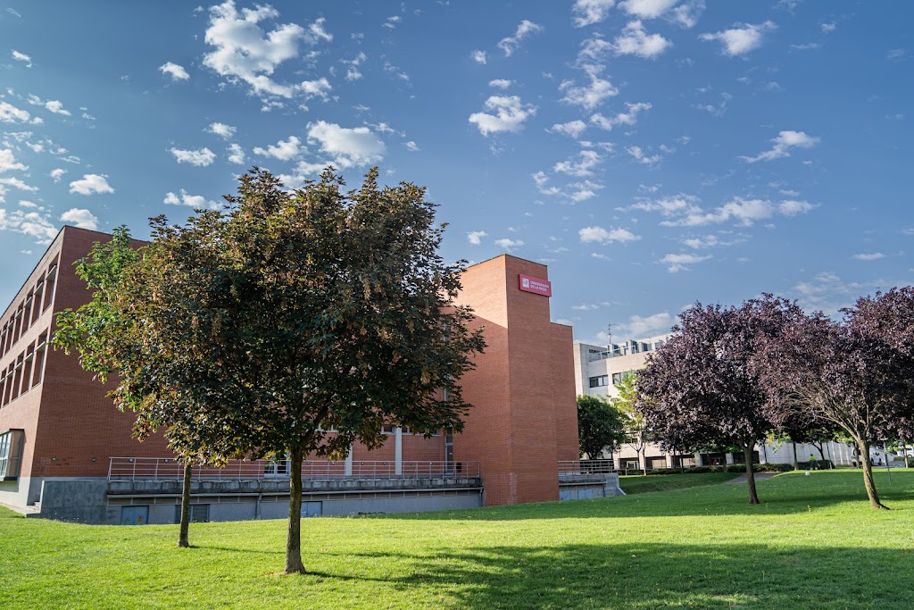 Facultad de Ciencias Empresariales