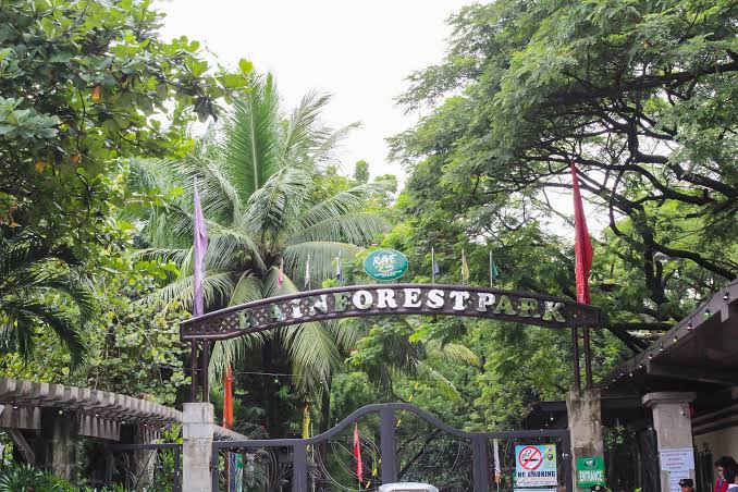 Pest Control Services Cainta Rizal City