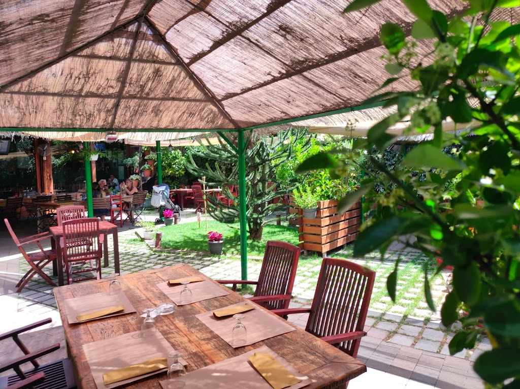 Club Pocket Bike d'Osona