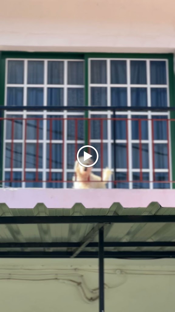 Brisas de Chio — Videos