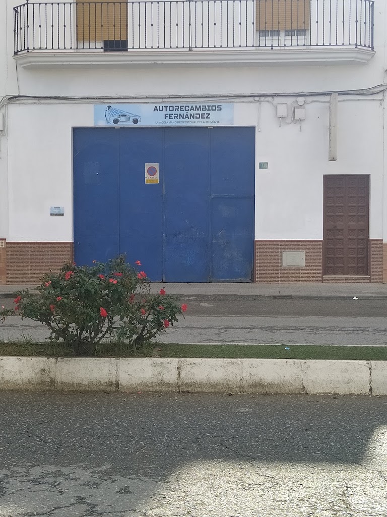 Lavados y Autorecambios Fernandez ( lavado a mano profesional del automovil) — Del propietario