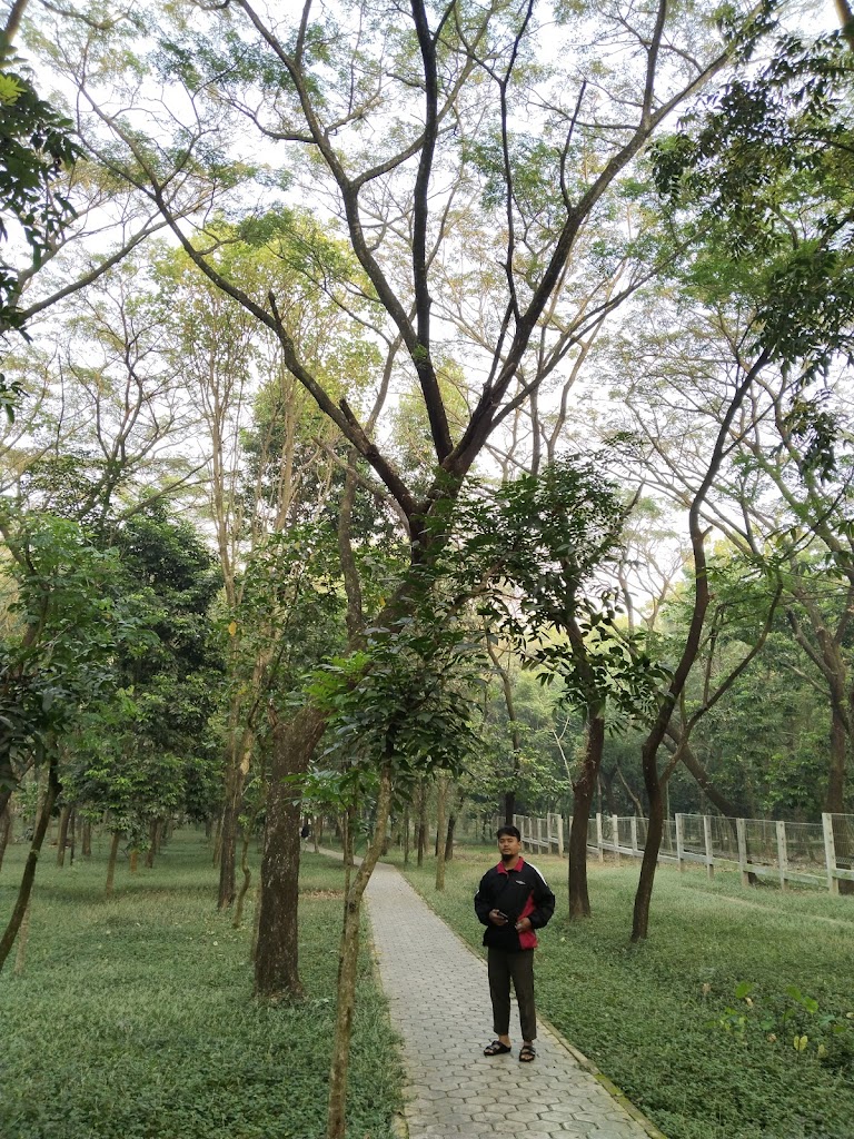 Bumi Perkemahan Balak