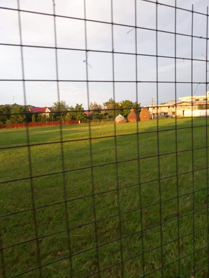 FOTBAL CLUB TRIUMF POIANA CAMPINA