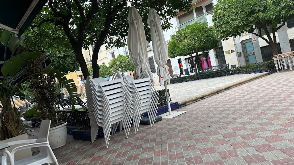 Bar Placita