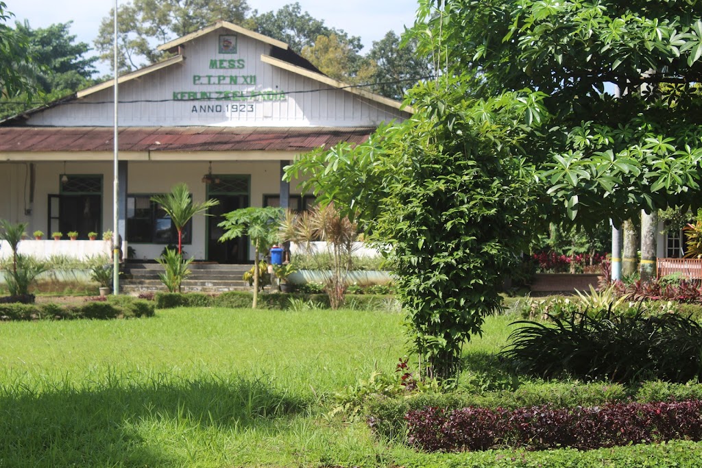 PT. Perkebukan Nusantara 12 Zeelandia