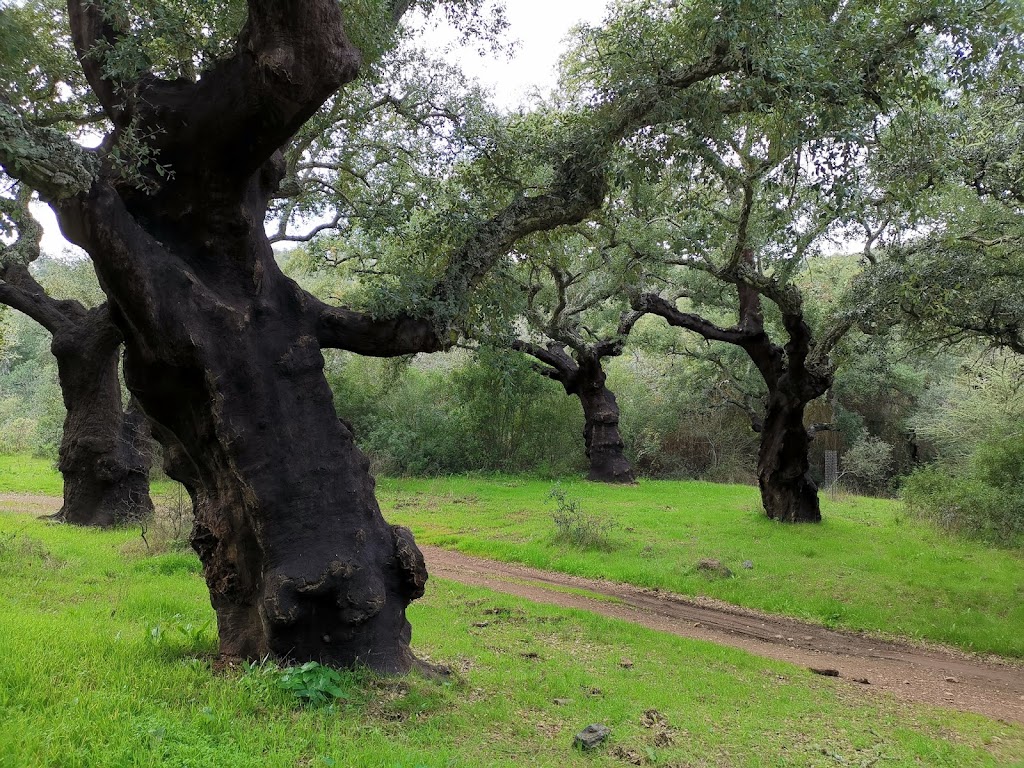 Paraje Doce Apostoles
