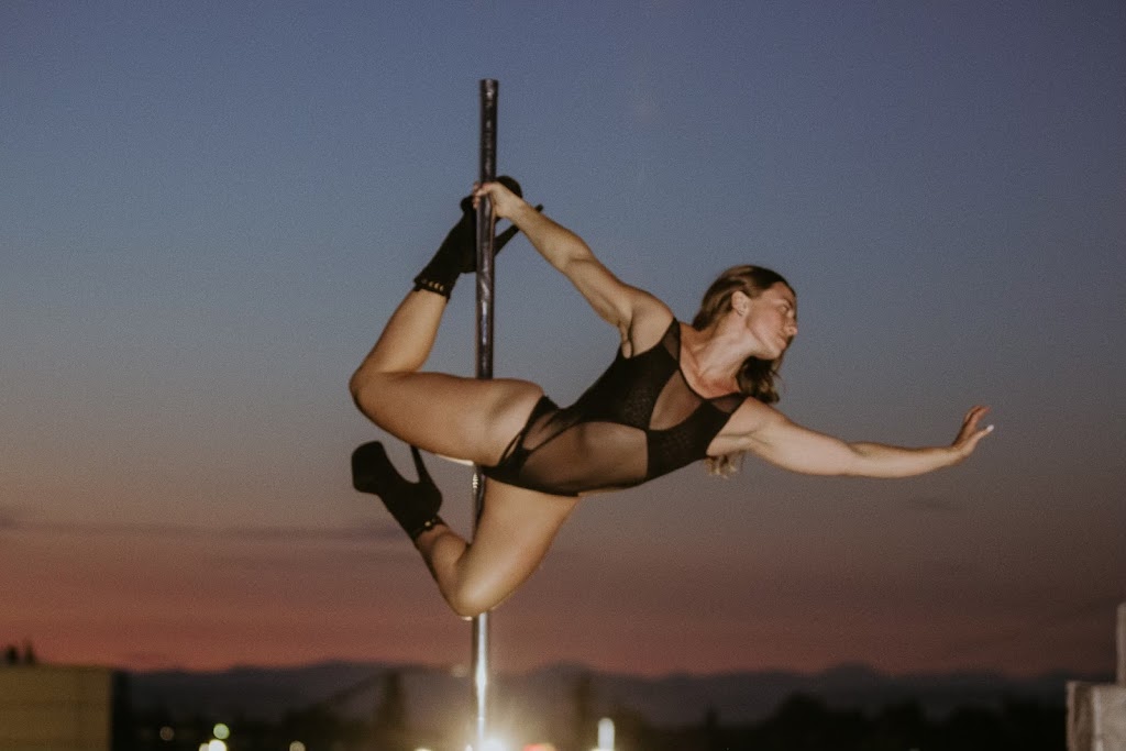  SkyDance Pole Fitness