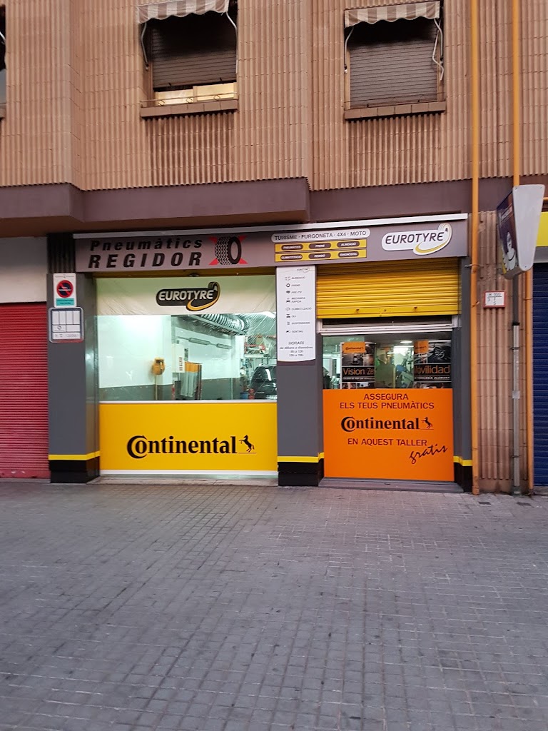 Pneumatics REGIDOR_BestDrive