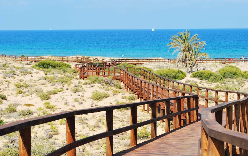 Carabassi Casas Inmobiliaria Estate Agency